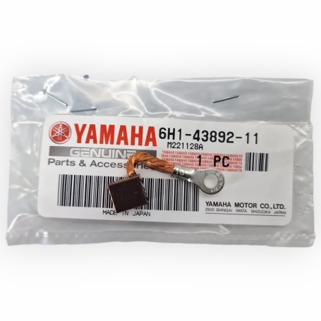 Escobilla Original Yamaha 6H1-43892-11