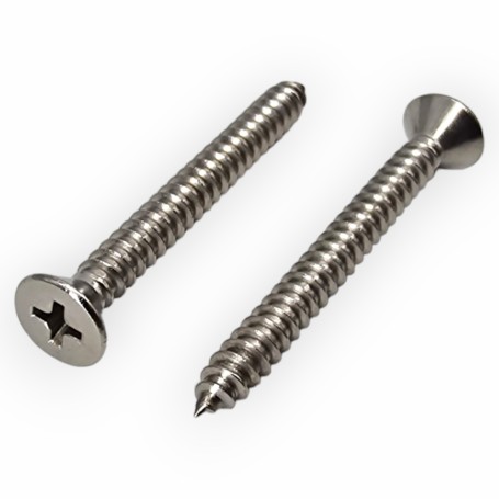 Tornillo Autorroscante DIN7982 (AISI316)