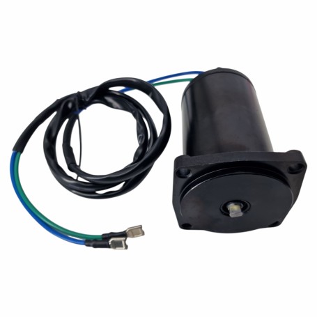 Motor Trim 38100-87J20-000