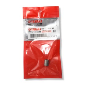 Ánodo Original Yamaha 6G8-11325-00