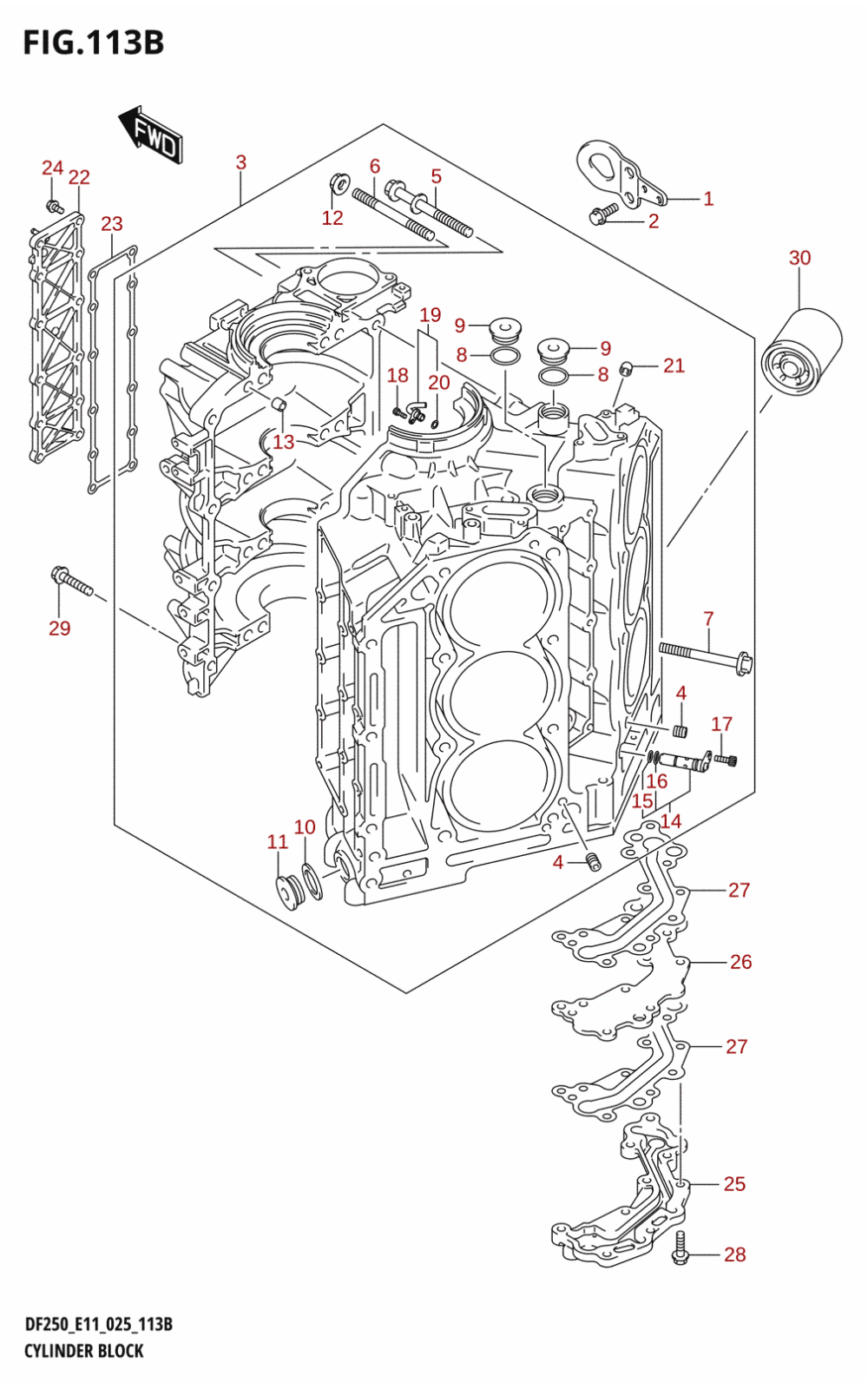 113B - CYLINDER BLOCK (DF250ST)