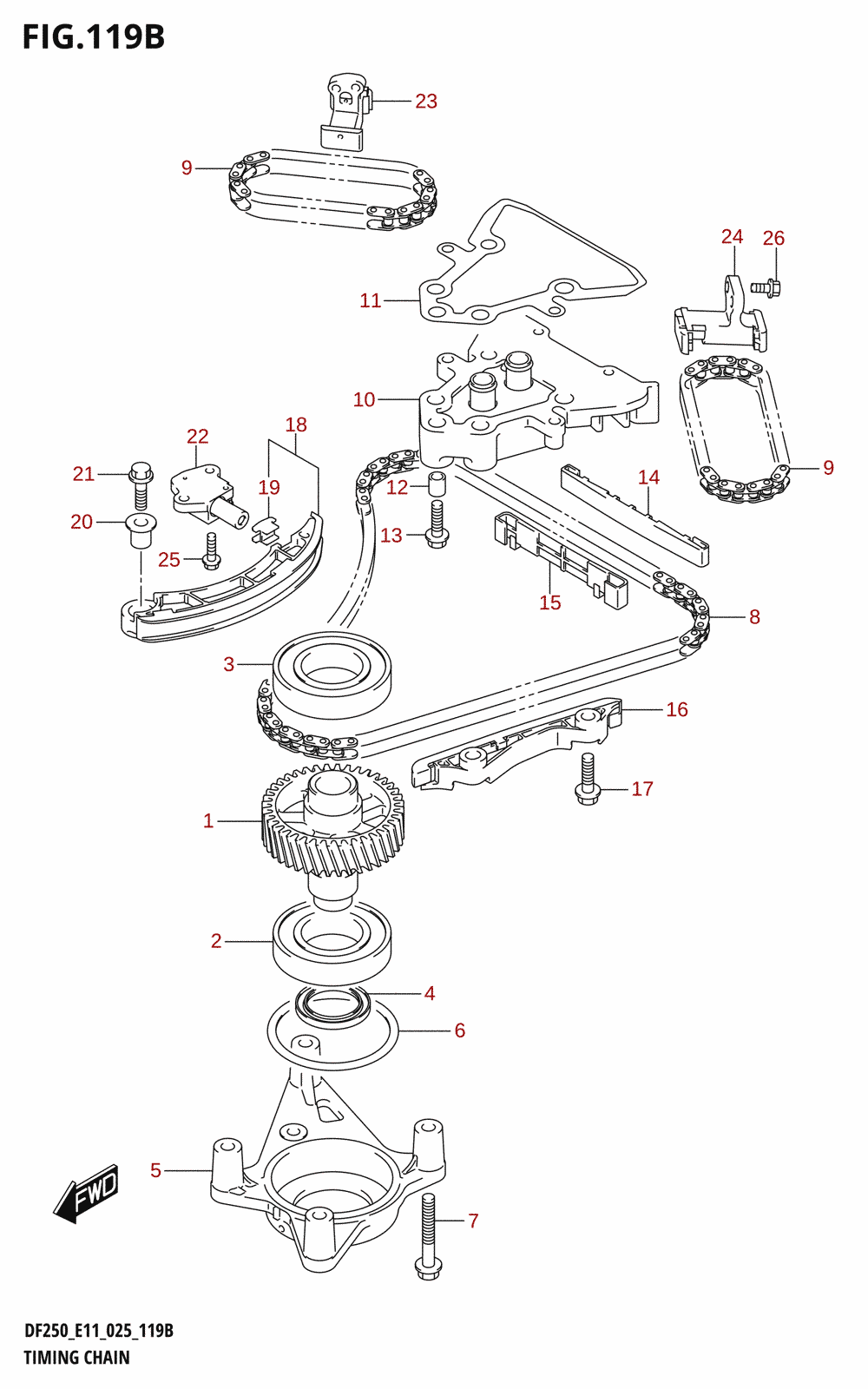 119B - TIMING CHAIN (DF250ST)