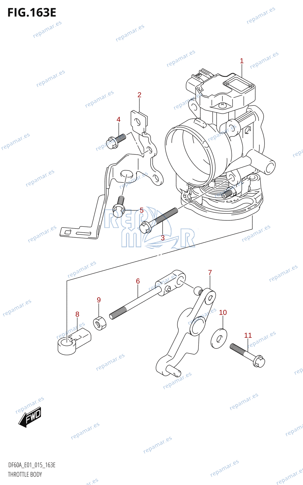 163E - THROTTLE BODY (DF50A:E01)