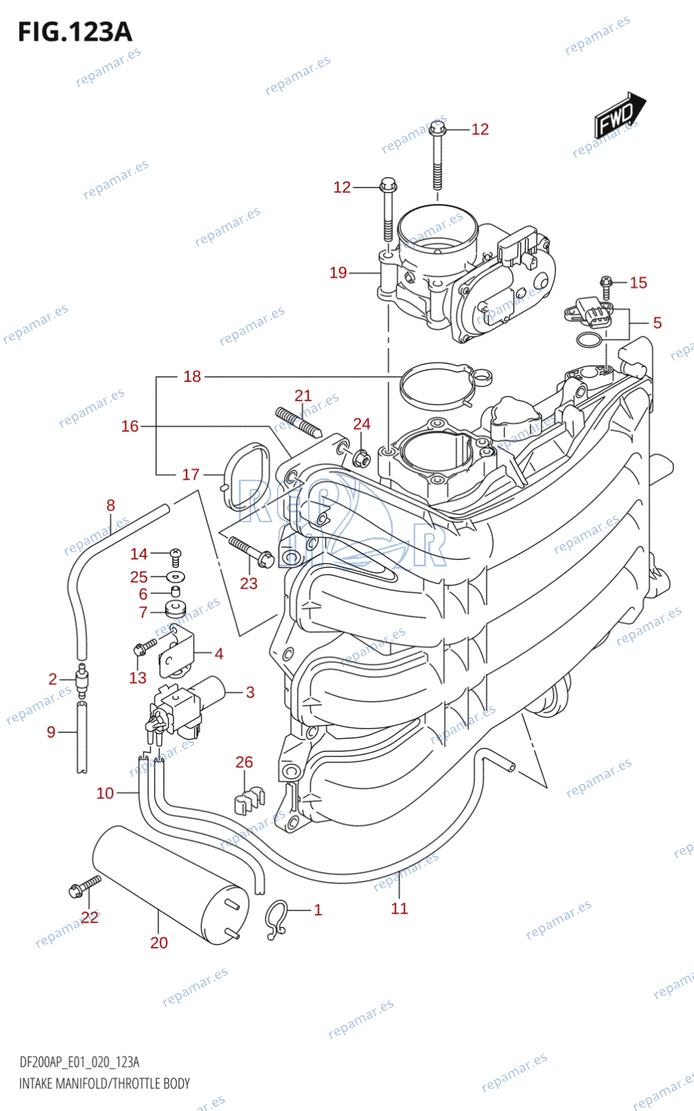 123A - INTAKE MANIFOLD /​ THROTTLE BODY