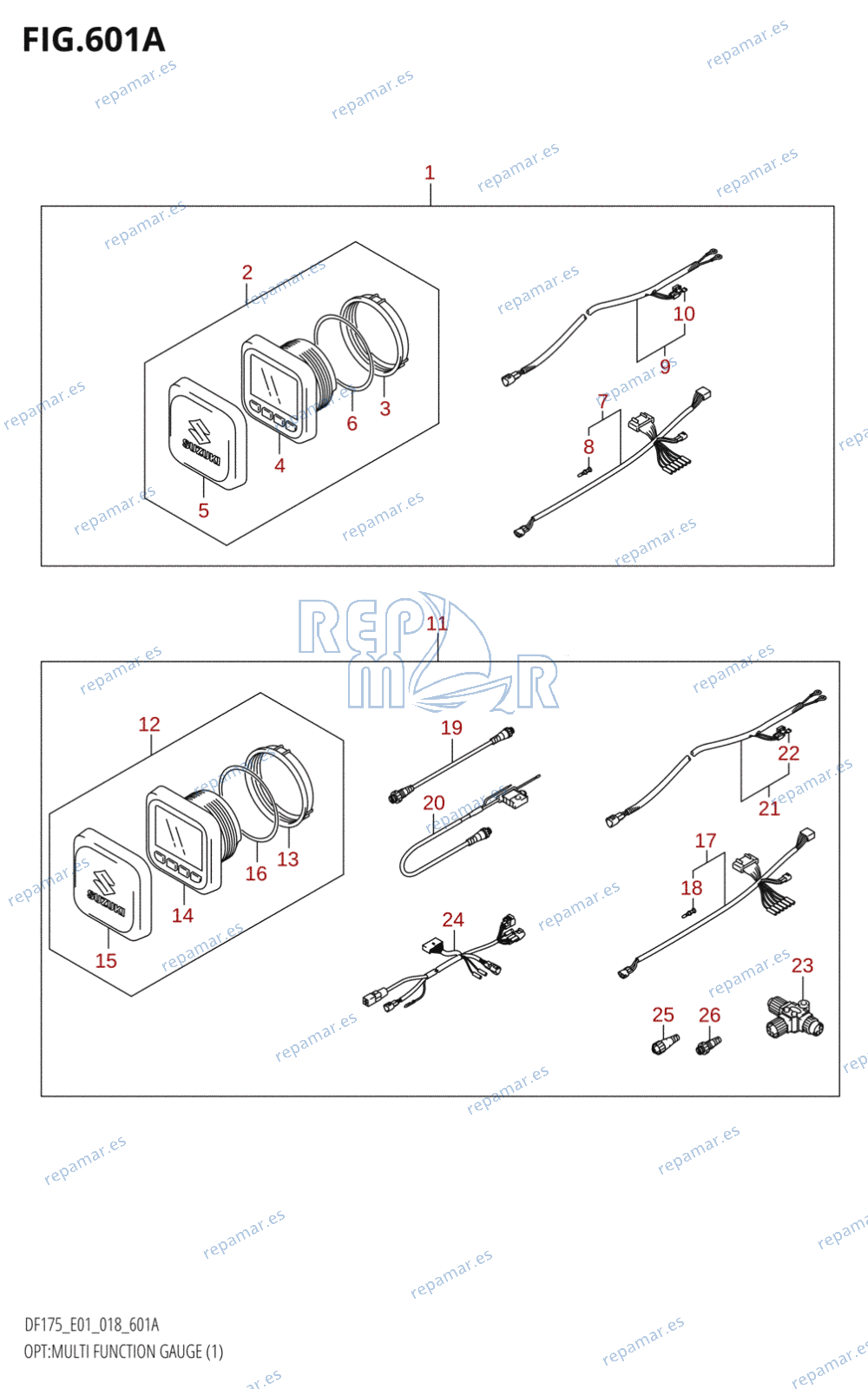 601A - OPT:MULTI FUNCTION GAUGE (1)