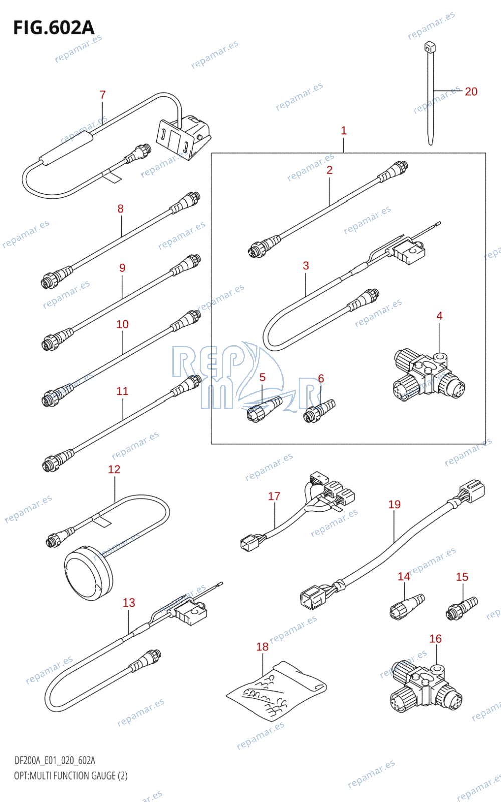 602A - OPT:MULTI FUNCTION GAUGE (2)