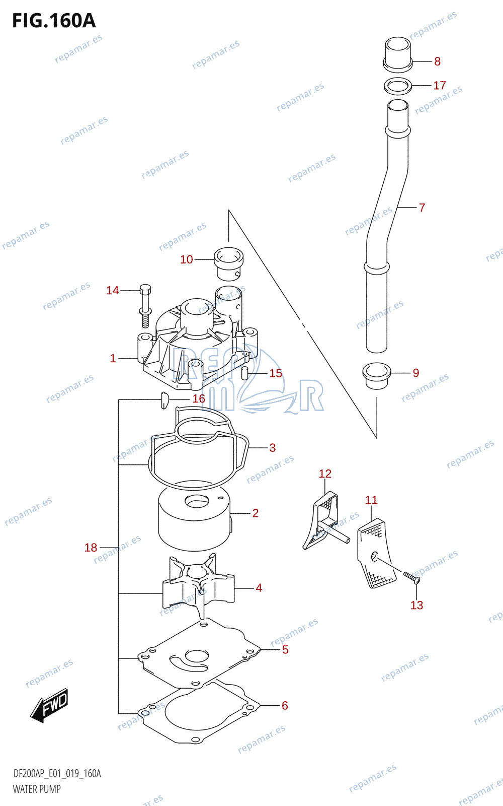 160A - WATER PUMP (E01)