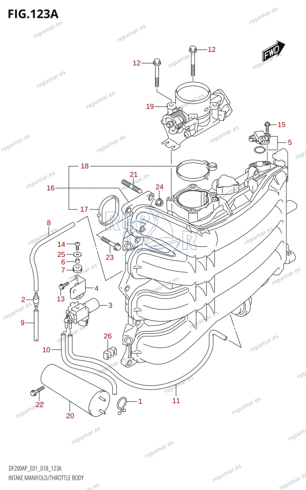 123A - INTAKE MANIFOLD / THROTTLE BODY