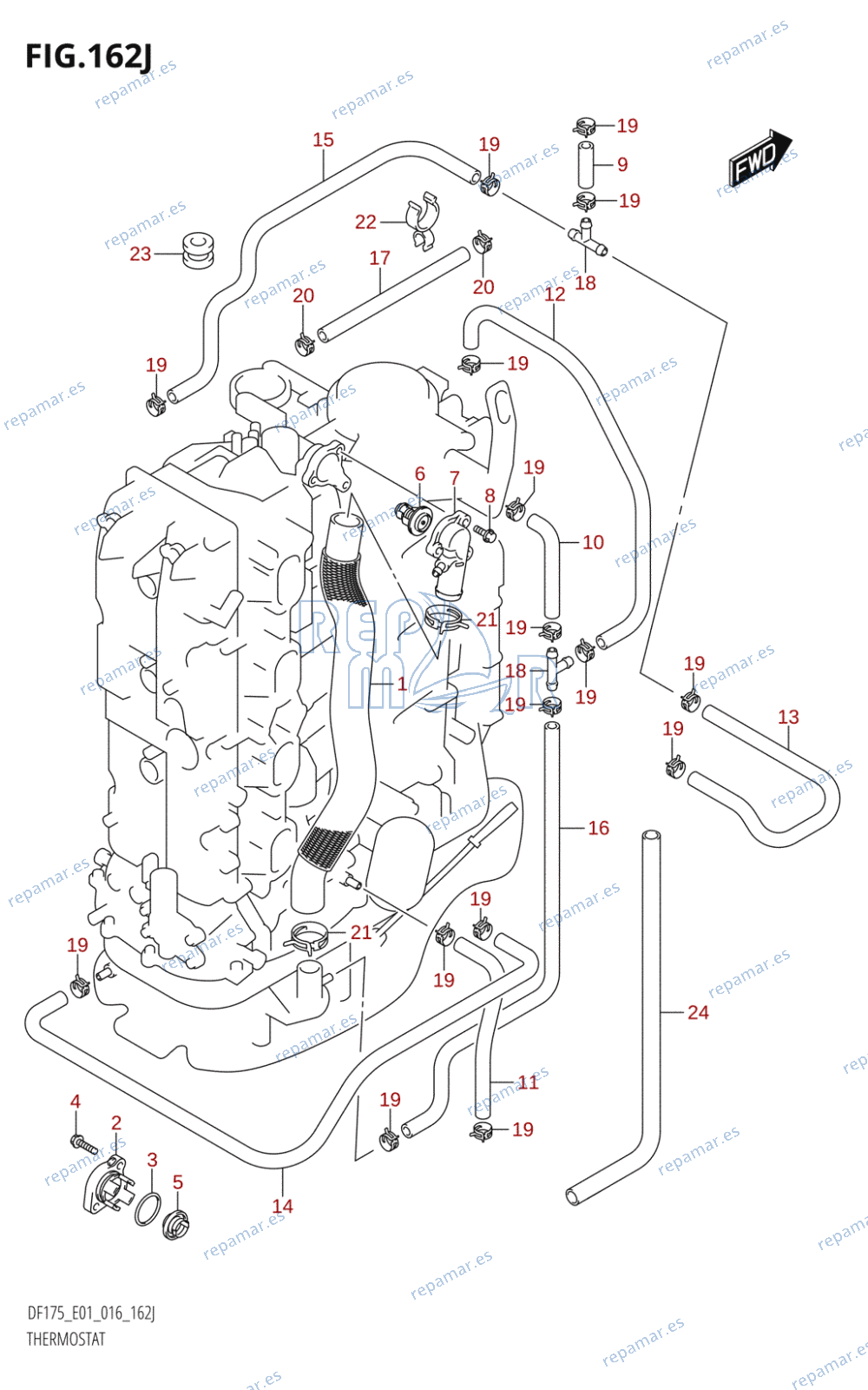 162J - THERMOSTAT (DF175T:E01)