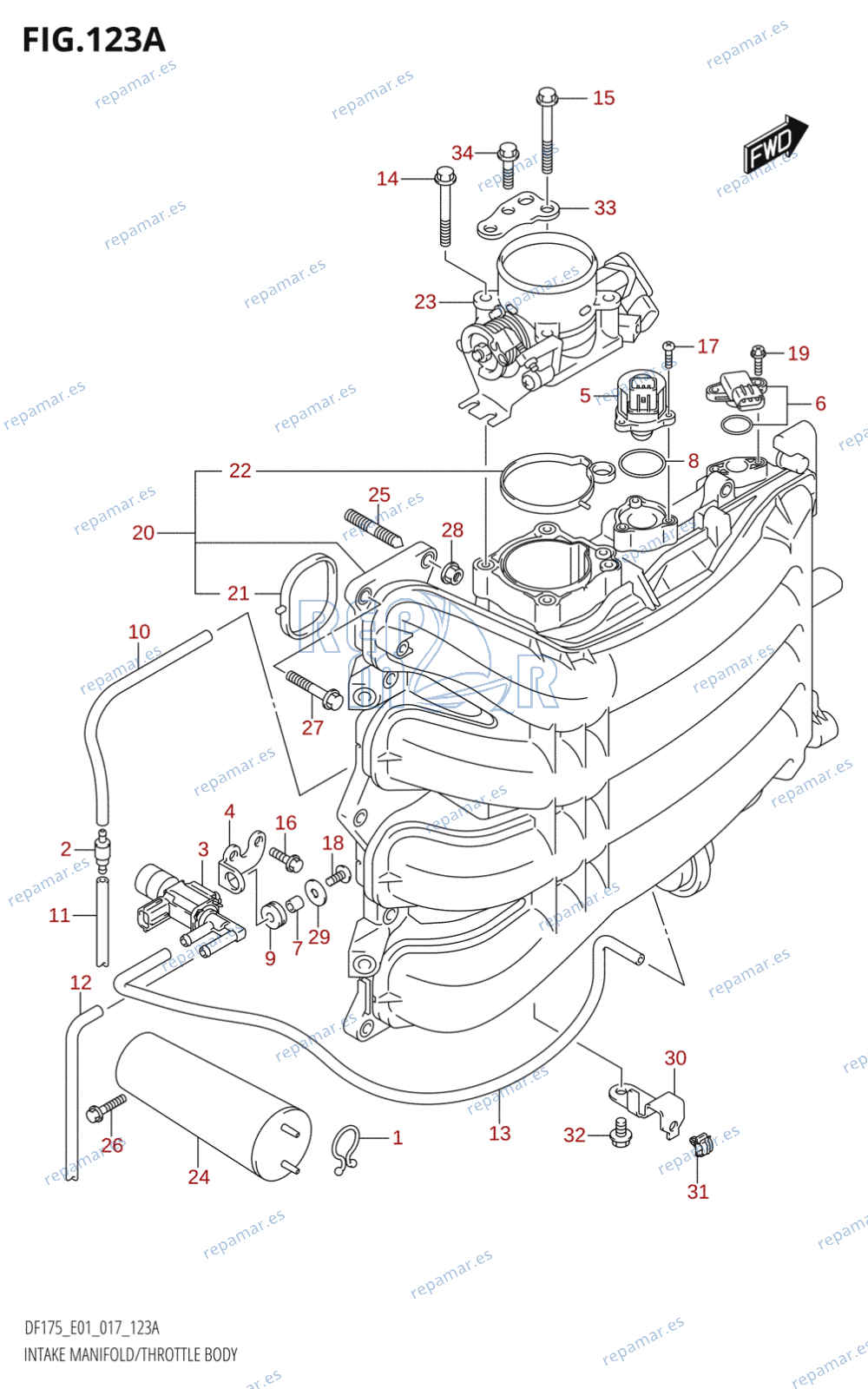 123A - INTAKE MANIFOLD /​ THROTTLE BODY