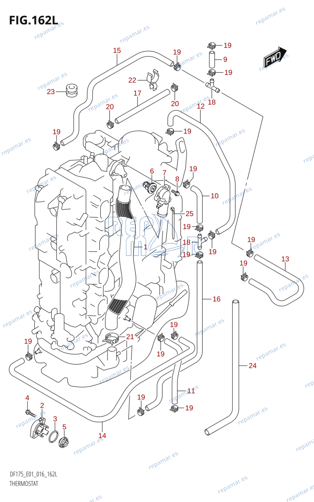 162L - THERMOSTAT (DF175TG:E01)