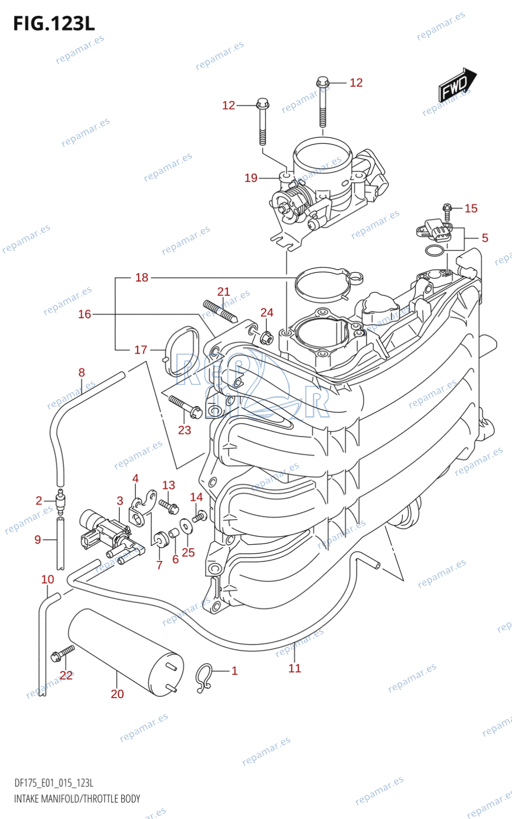 123L - INTAKE MANIFOLD /​ THROTTLE BODY (DF175TG:E01)