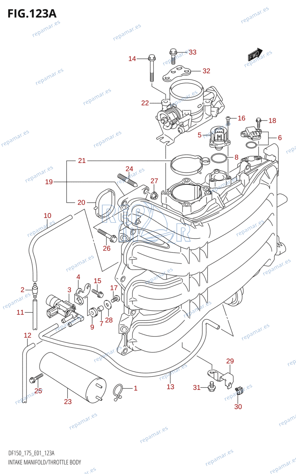 123A - INTAKE MANIFOLD /​ THROTTLE BODY