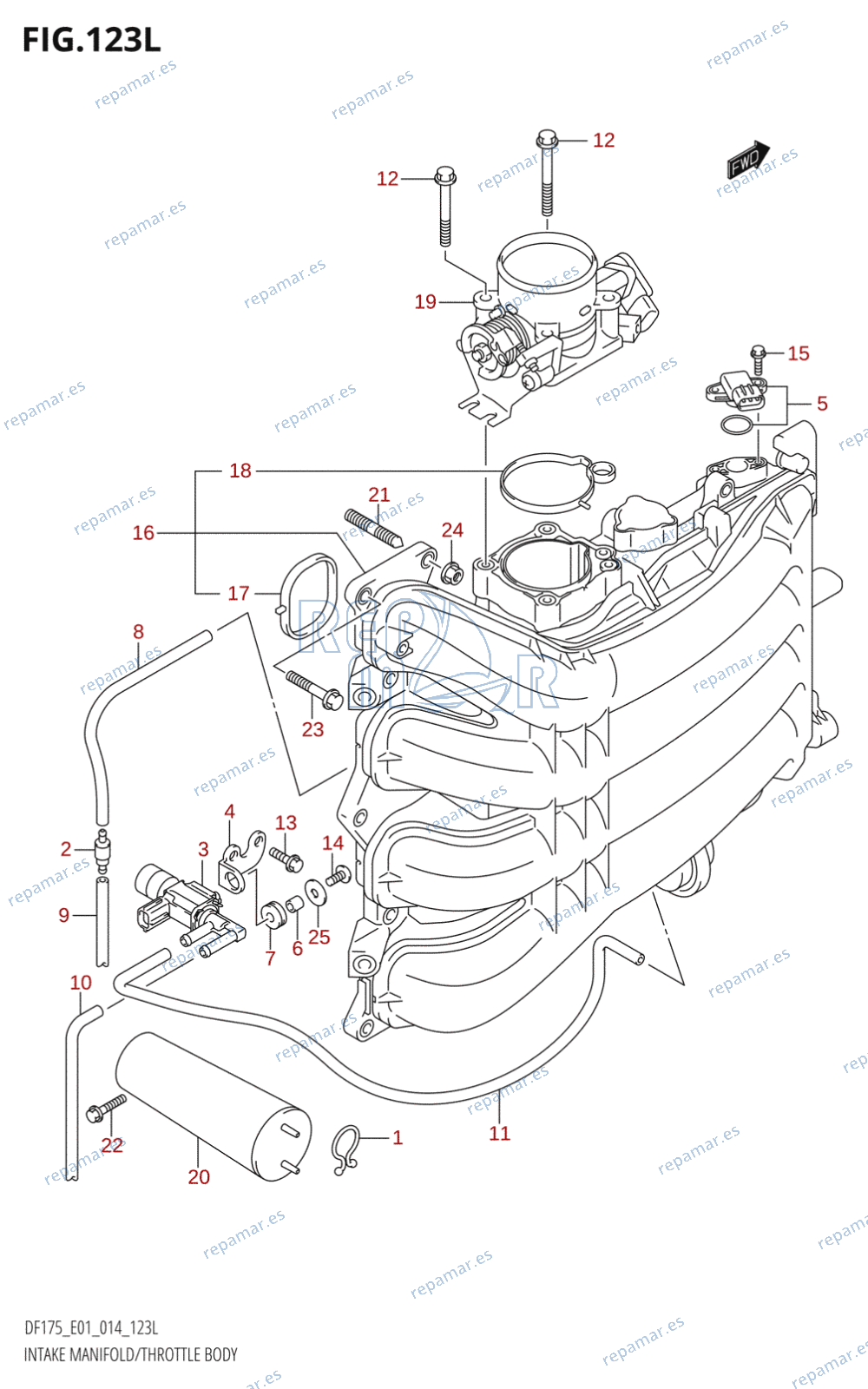 123L - INTAKE MANIFOLD /​ THROTTLE BODY (DF175TG:E01)