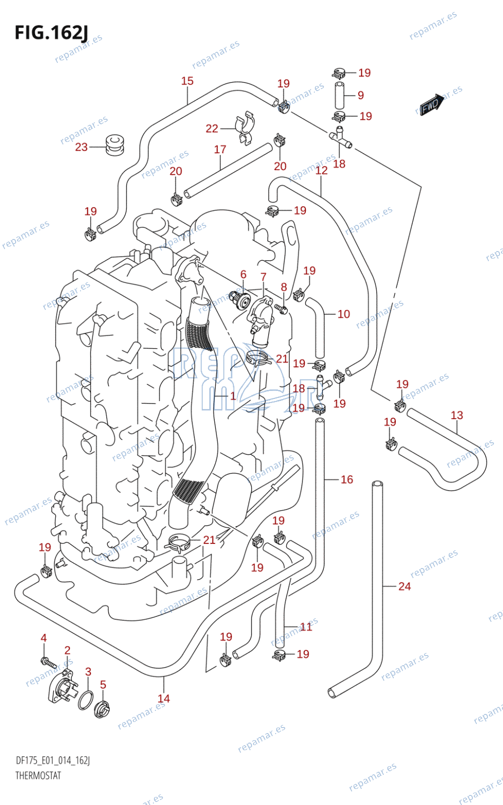 162J - THERMOSTAT (DF175T:E01)