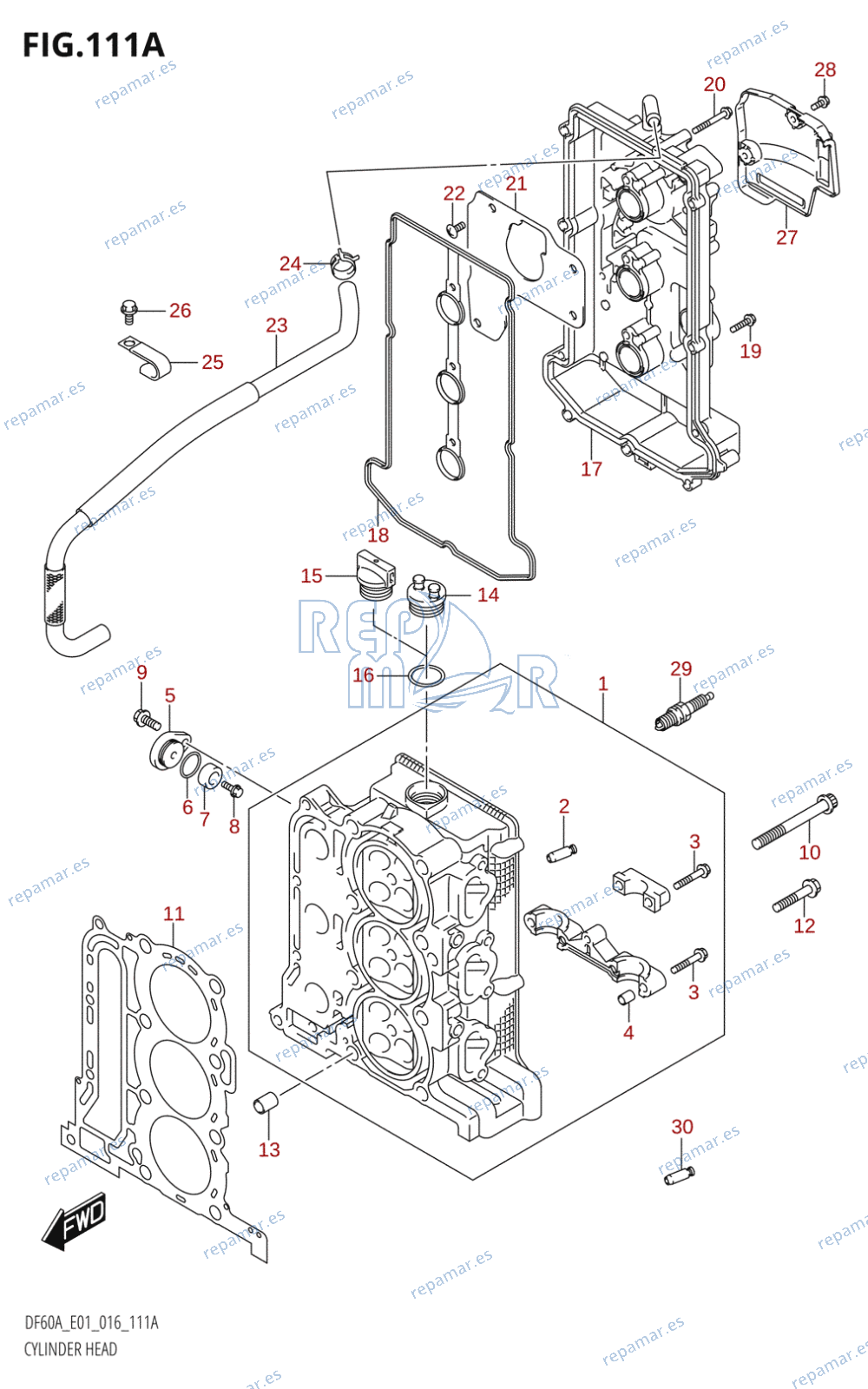 111A - CYLINDER HEAD (DF40A:E01)