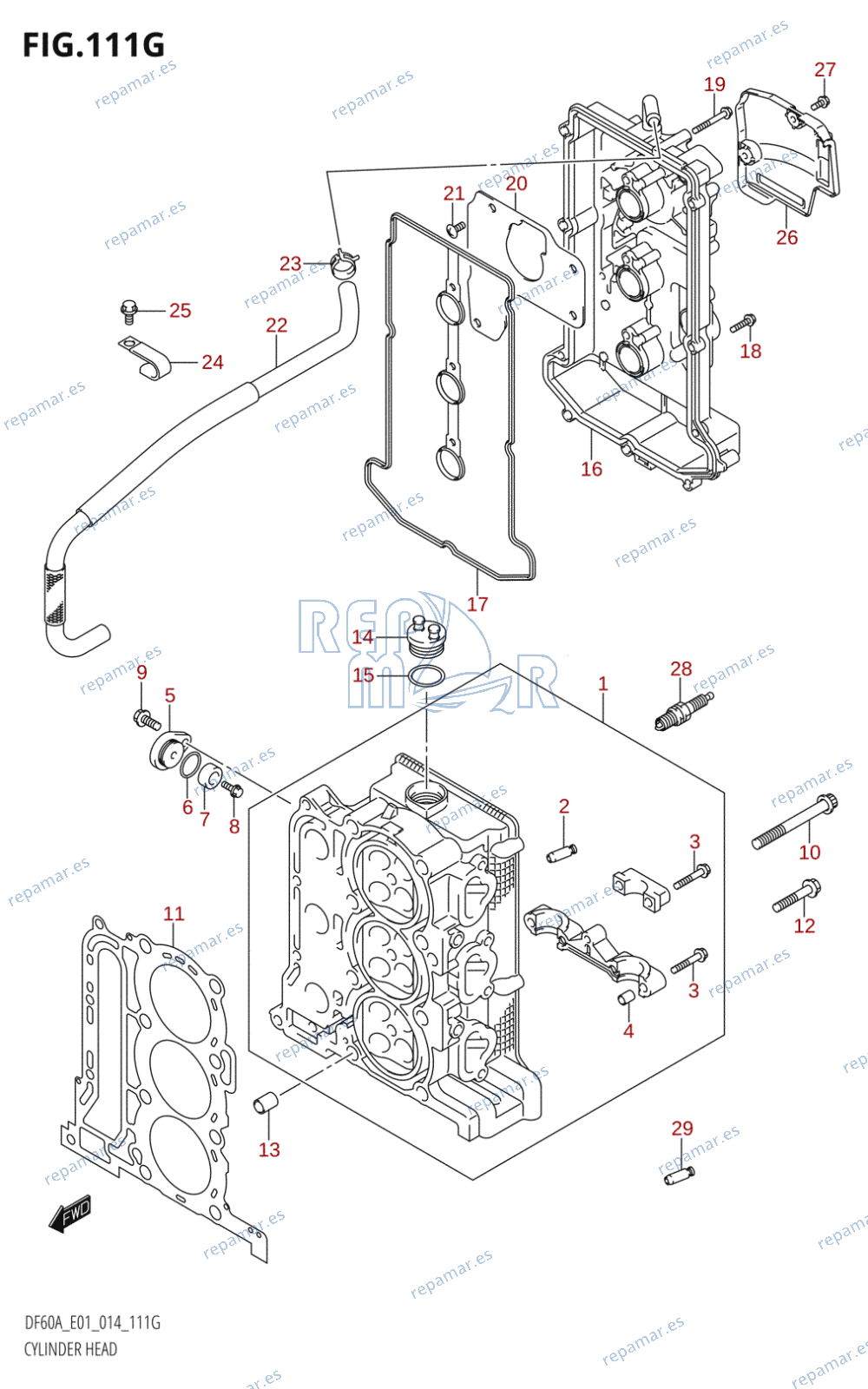 111G - CYLINDER HEAD (DF60A:E01)