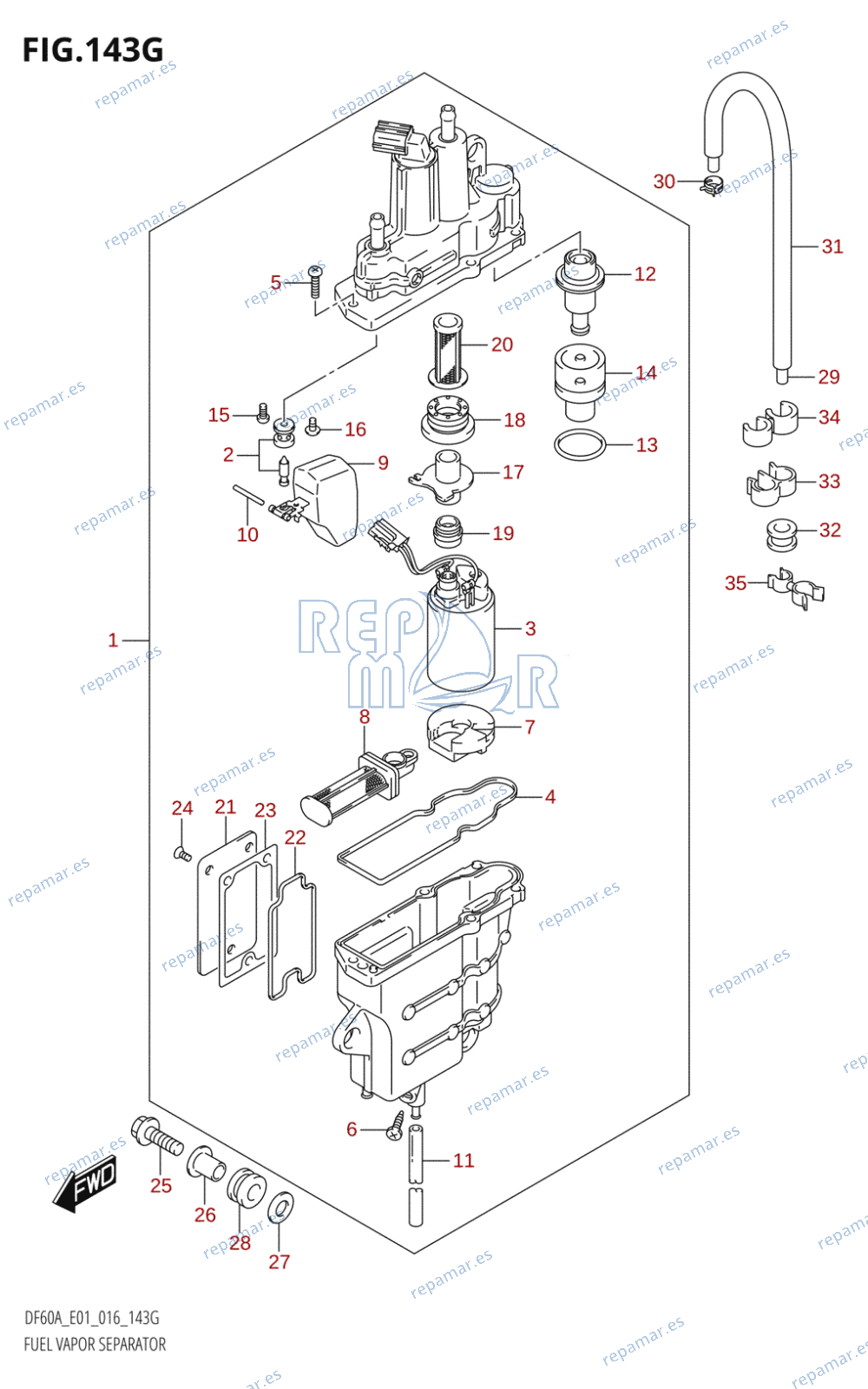 143G - FUEL VAPOR SEPARATOR (DF60A:E01)