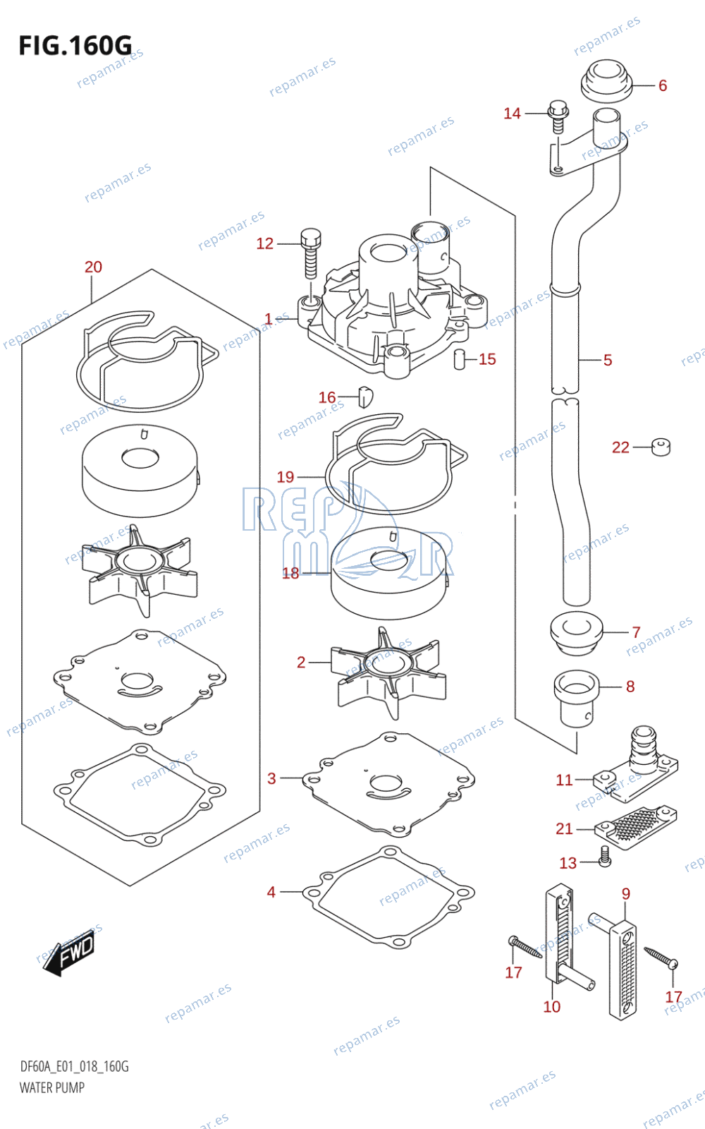 160G - WATER PUMP (DF60AVT:E01,DF60AVTH:E01)