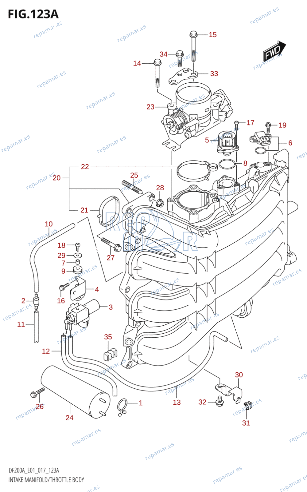 123A - INTAKE MANIFOLD /​ THROTTLE BODY