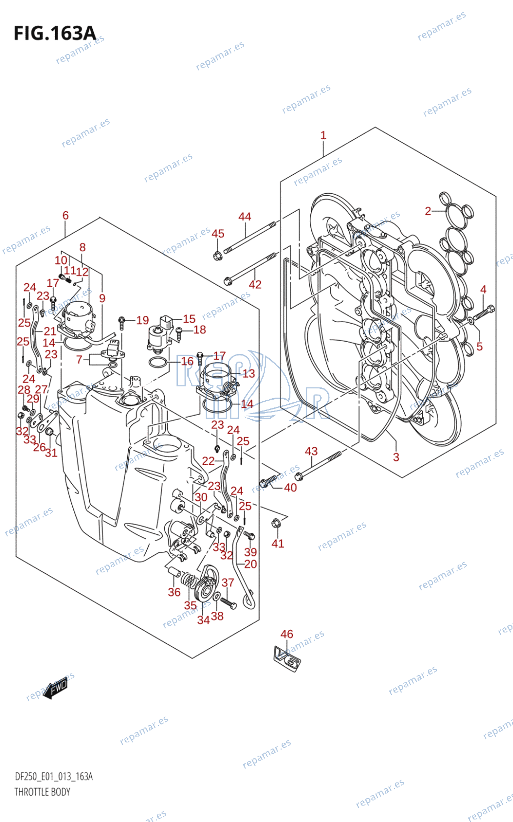 163A - THROTTLE BODY (DF200T:E01)