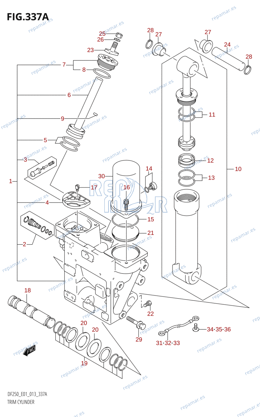 337A - TRIM CYLINDER (DF200T:E01:(X-TRANSOM,XX-TRANSOM))