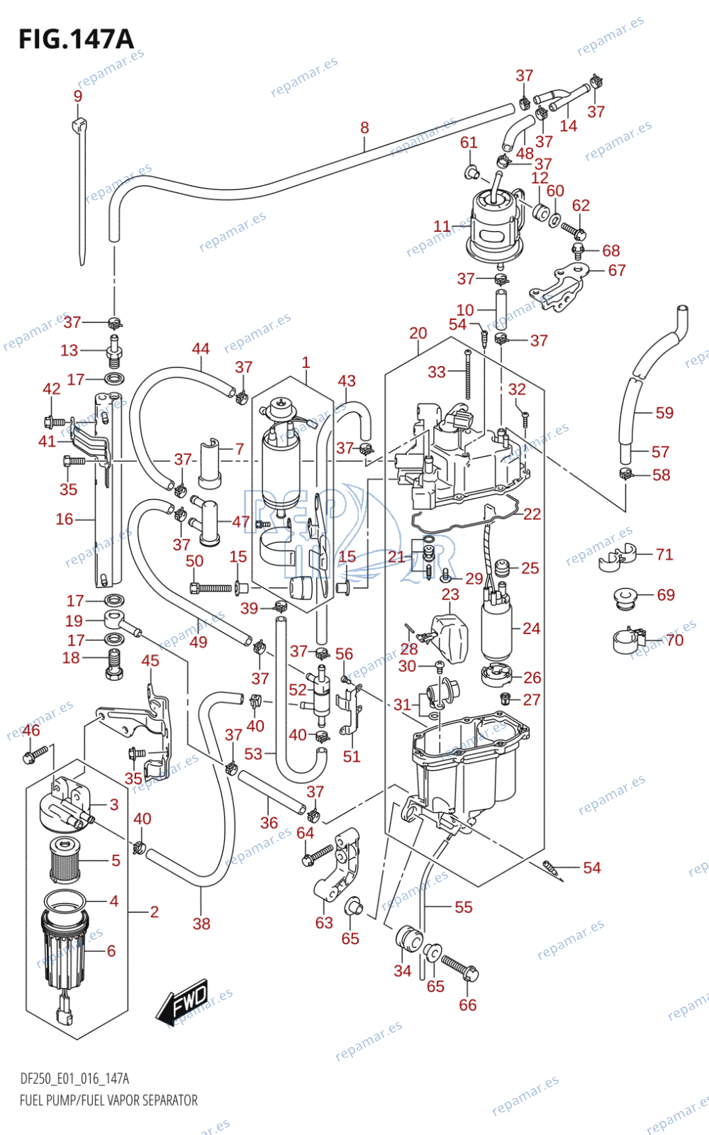 147A - FUEL PUMP /​ FUEL VAPOR SEPARATOR (DF200T:E01)