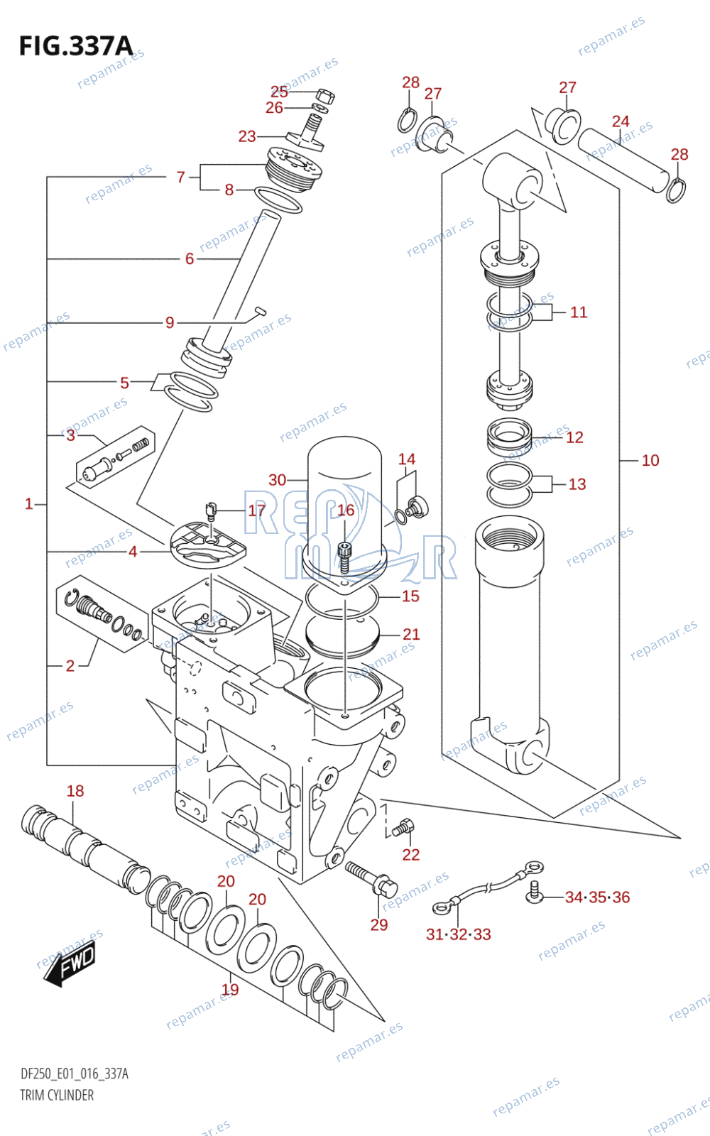 337A - TRIM CYLINDER (DF200T:E01:(X-TRANSOM,XX-TRANSOM))