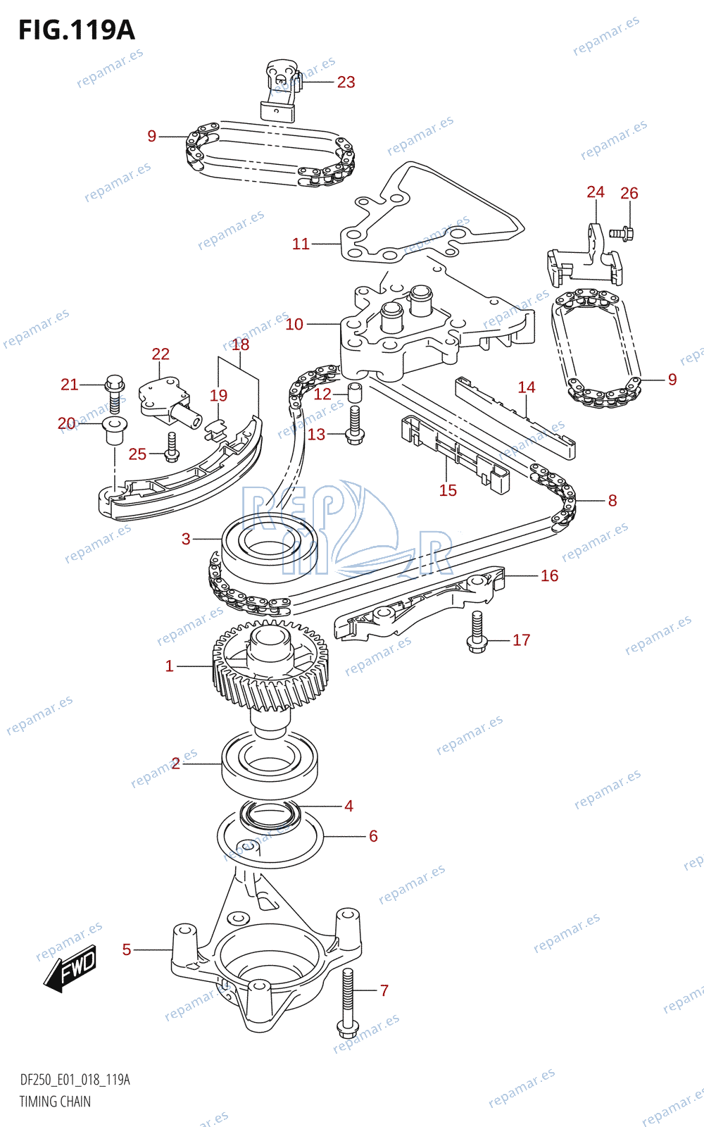 119A - TIMING CHAIN