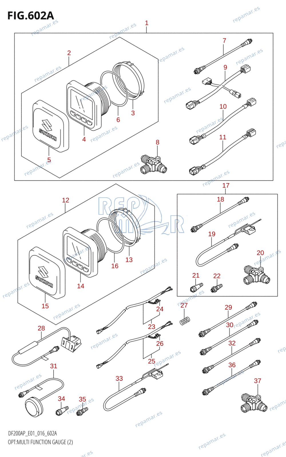 602A - OPT:MULTI FUNCTION GAUGE (2)