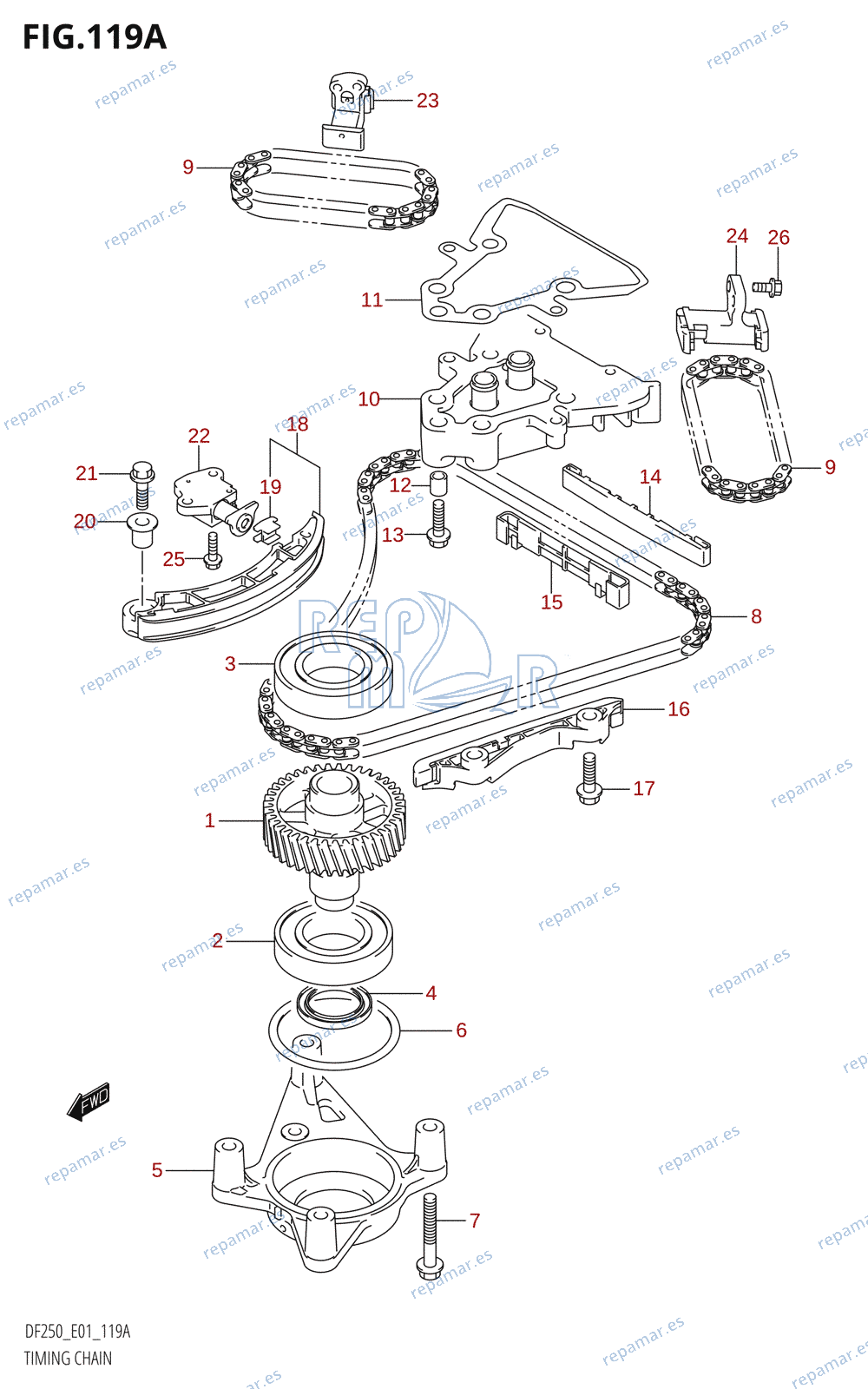 119A - TIMING CHAIN