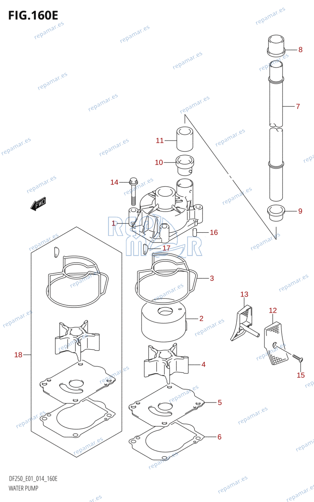 160E - WATER PUMP (DF225T:E01)