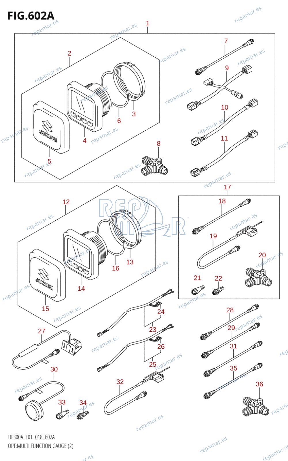 602A - OPT:MULTI FUNCTION GAUGE (2)