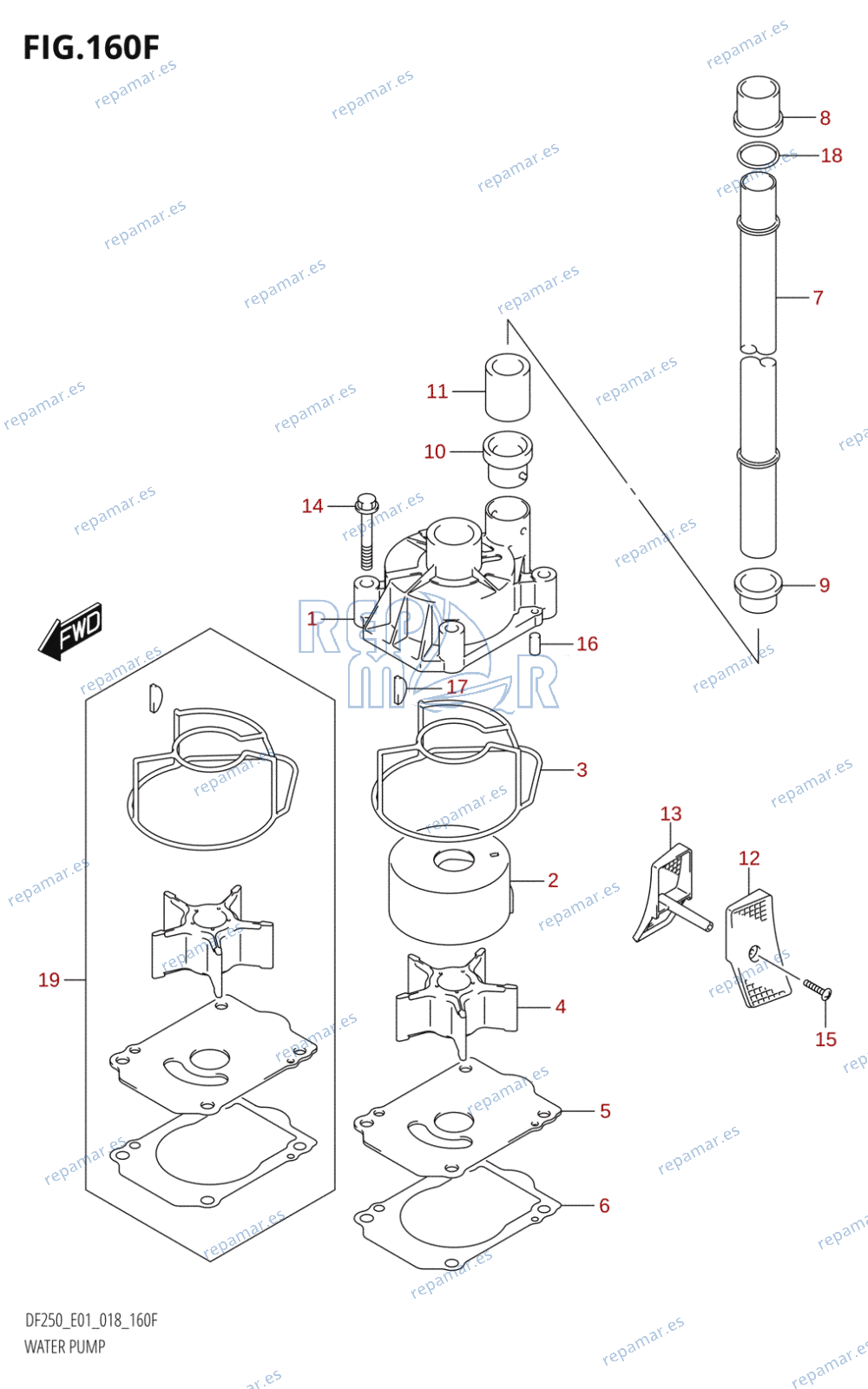 160F - WATER PUMP (DF225T,DF225Z,DF250T,DF250Z)