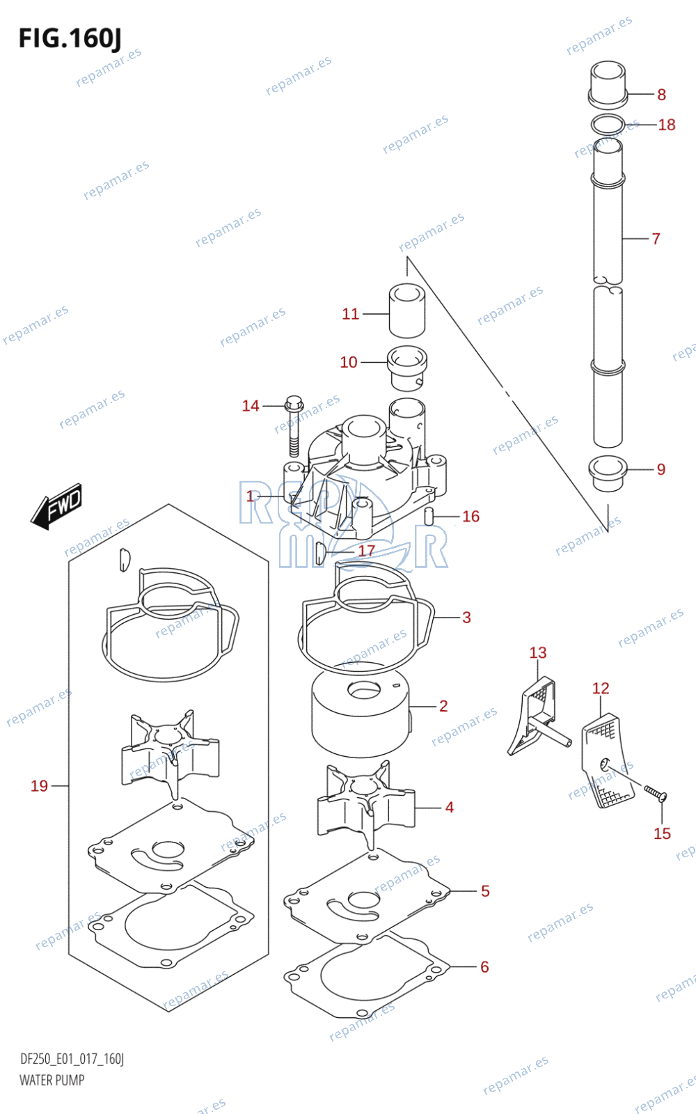 160J - WATER PUMP (DF250T:E01)