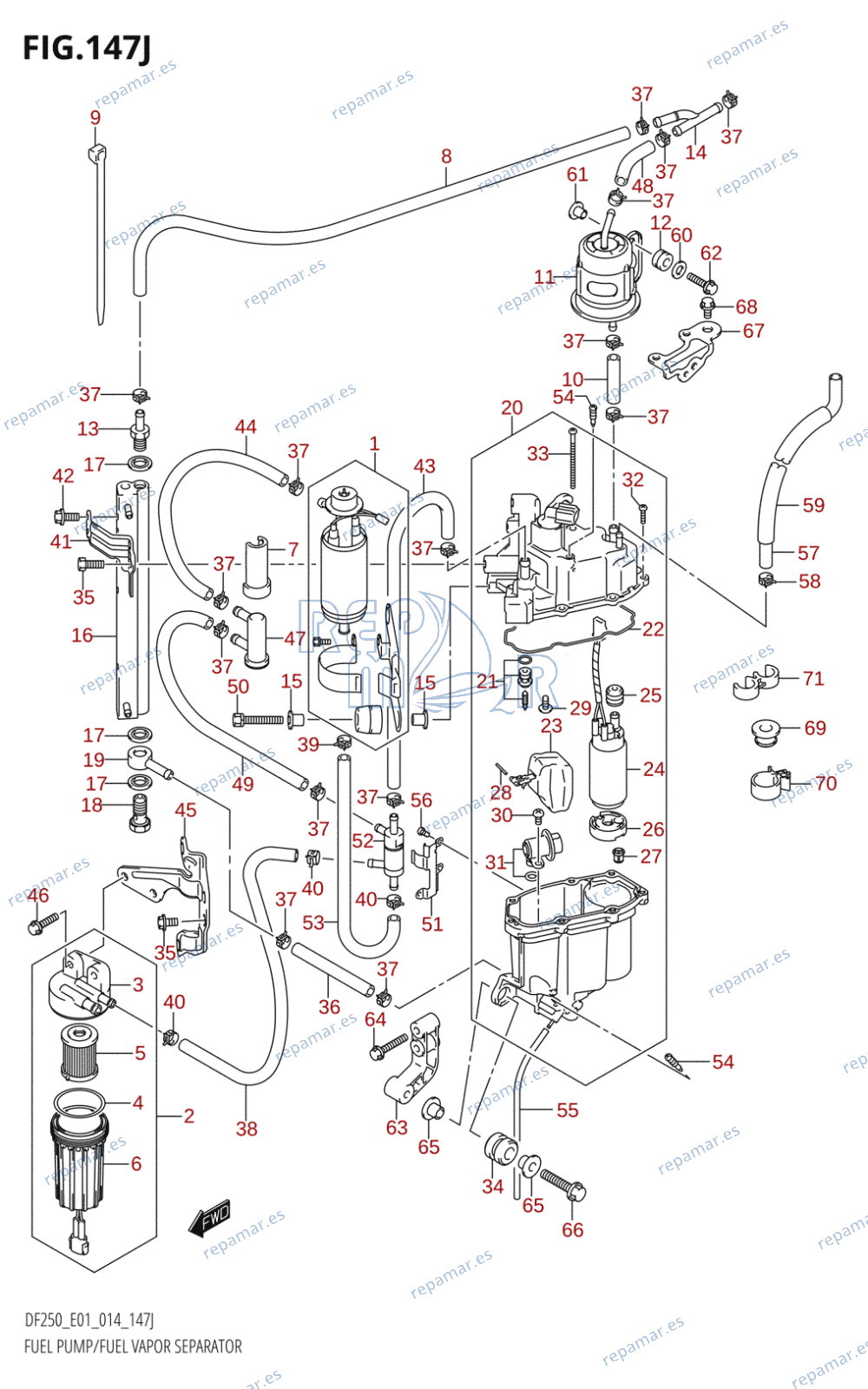 147J - FUEL PUMP /​ FUEL VAPOR SEPARATOR (DF250T:E01)