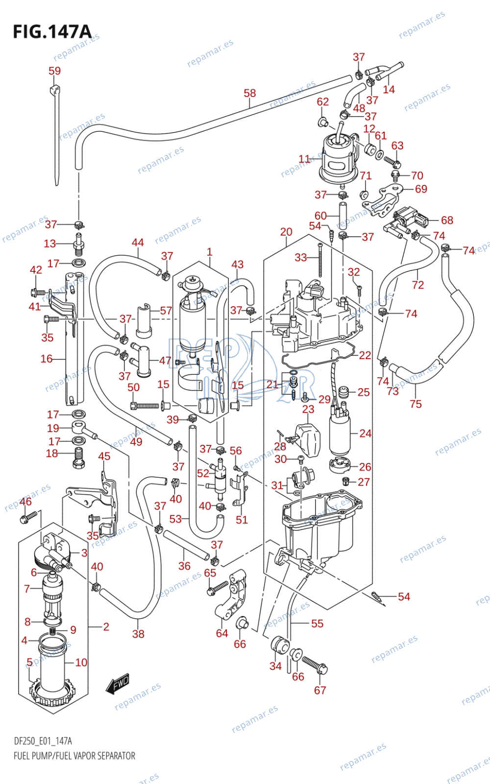 147A - FUEL PUMP /​ FUEL VAPOR SEPARATOR (K4,K5,K6,K7,K8,K9,K10)