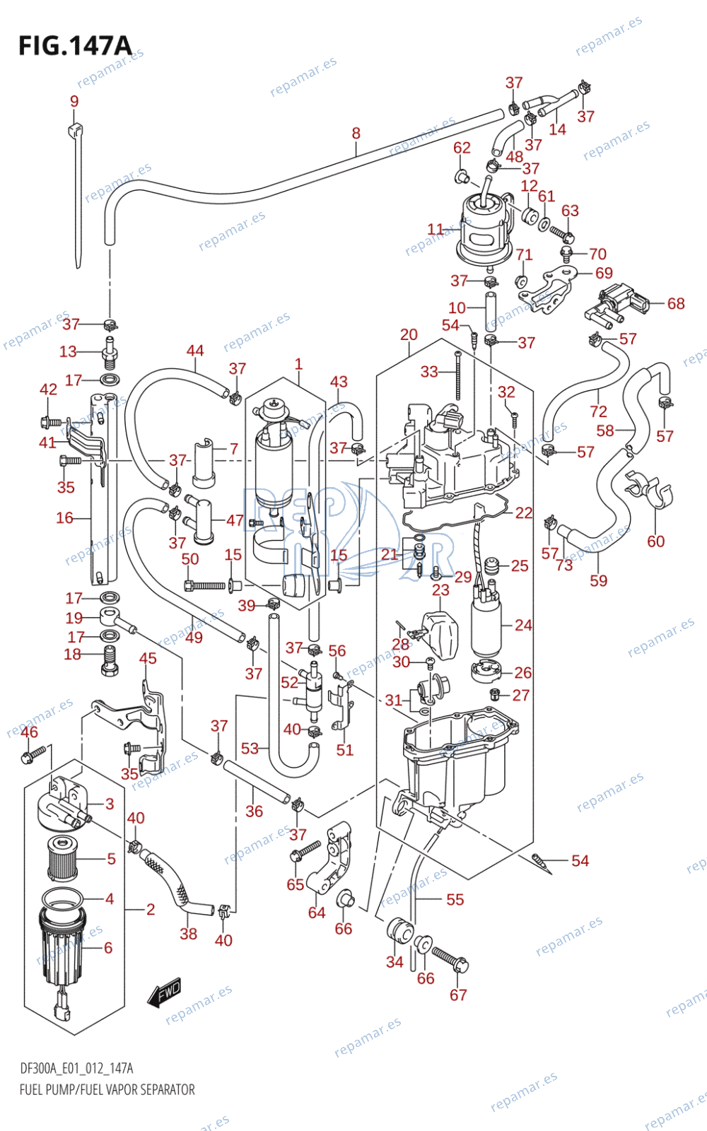 147A - FUEL PUMP /​ FUEL VAPOR SEPARATOR (DF300A:E01)