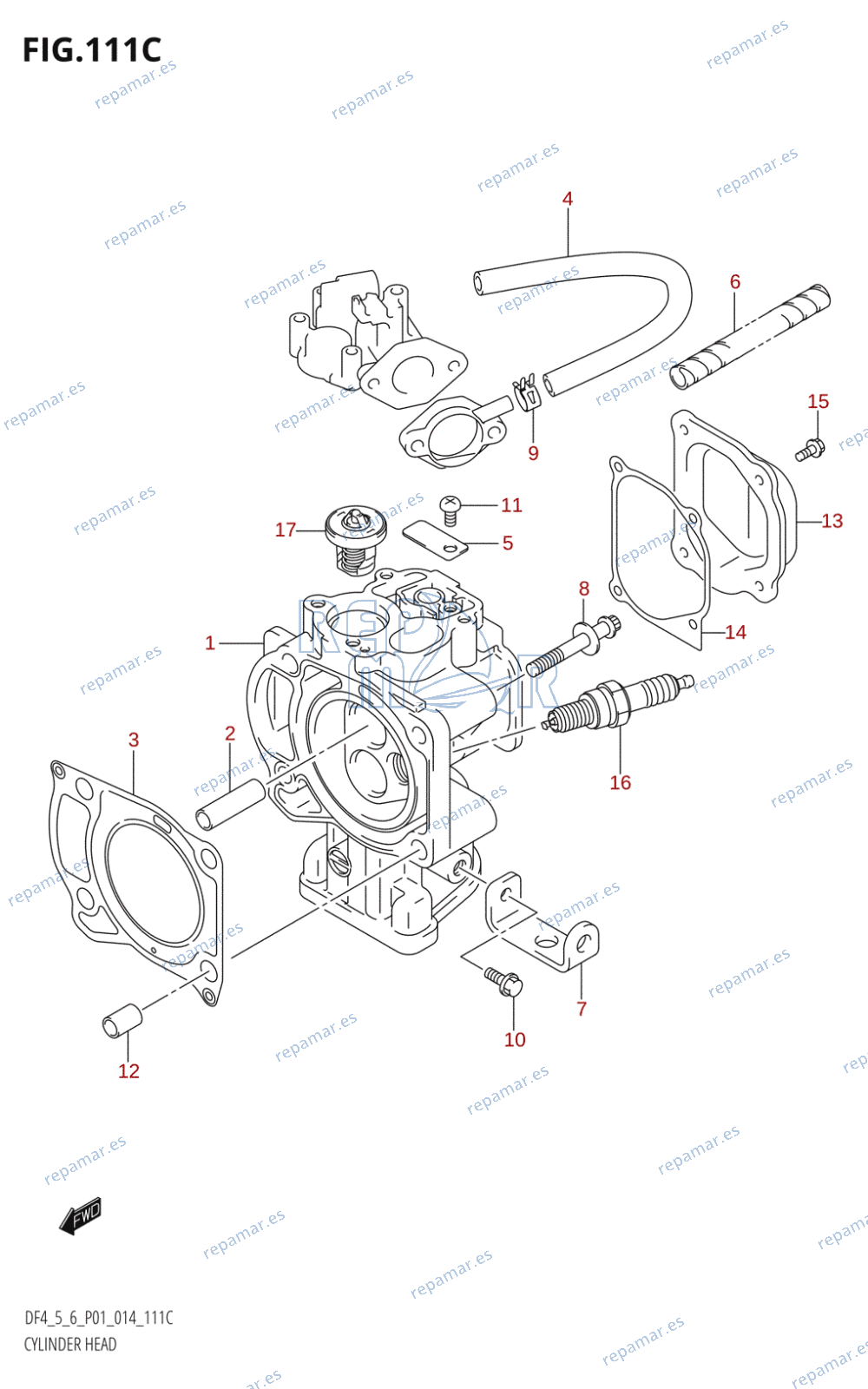 111C - CYLINDER HEAD (DF6:P01)