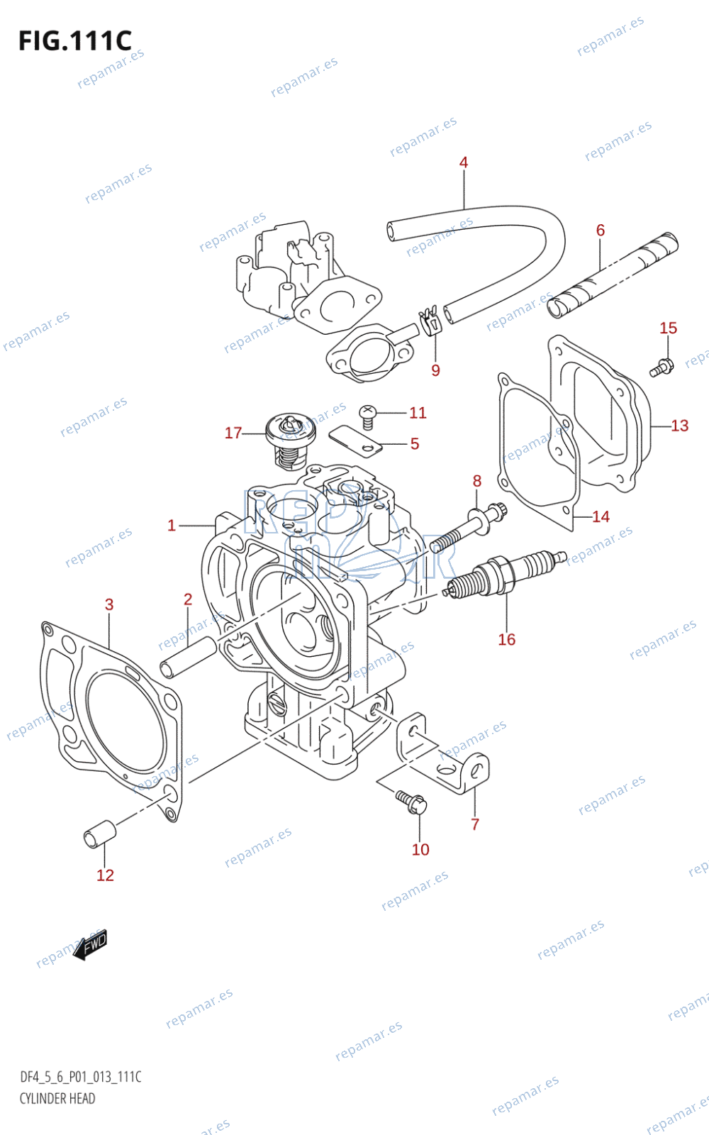 111C - CYLINDER HEAD (DF6:P01)