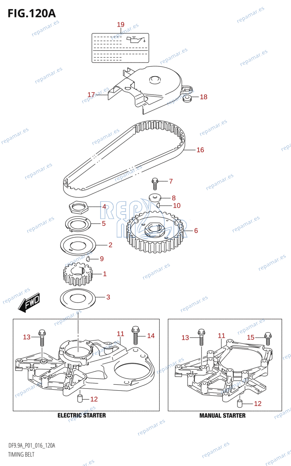 120A - TIMING BELT (DF8A:P01)