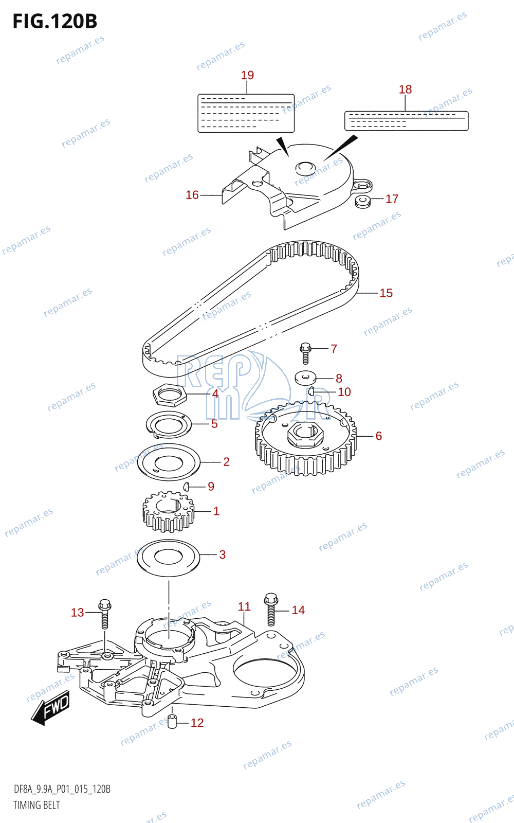 120B - TIMING BELT (DF8AR:P01)