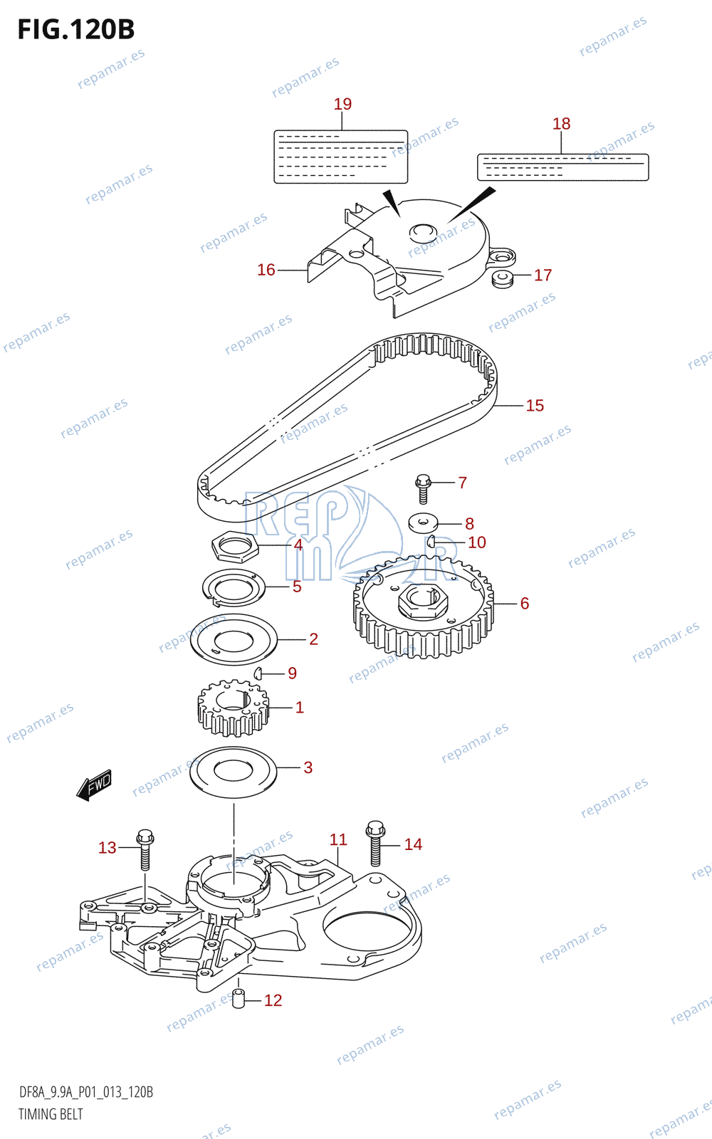 120B - TIMING BELT (DF8AR:P01)