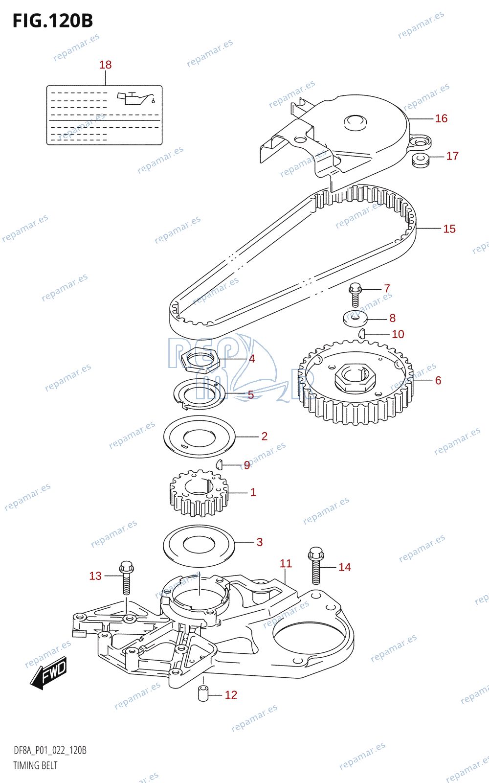 120B - TIMING BELT (DF8AR)