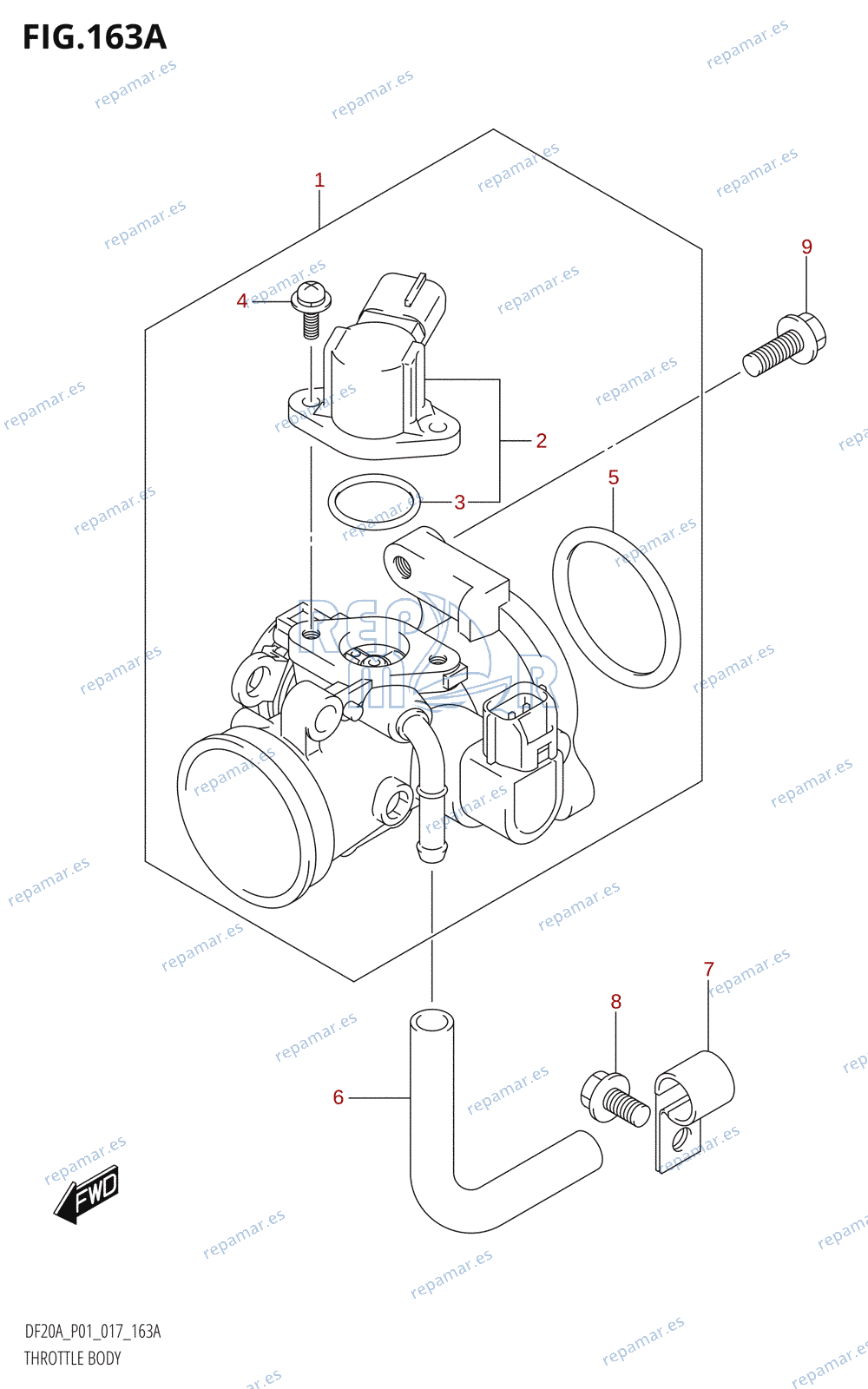 163A - THROTTLE BODY (DF9.9B:P01)