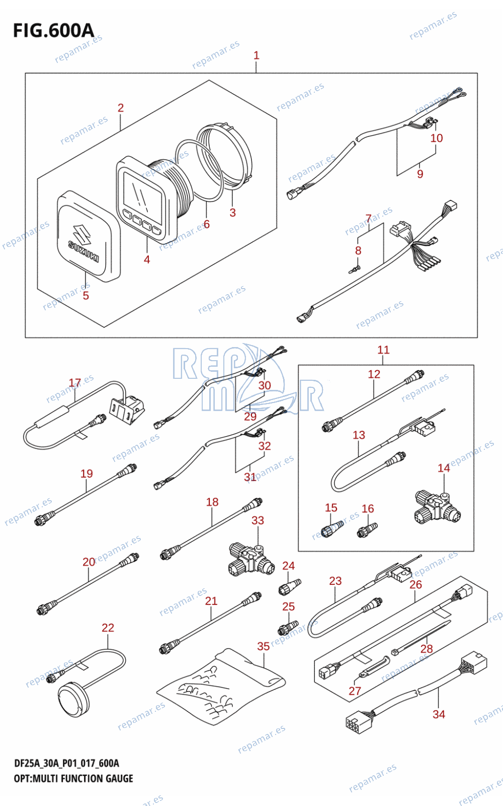 600A - OPT:MULTI FUNCTION GAUGE (DF25AR:P01)