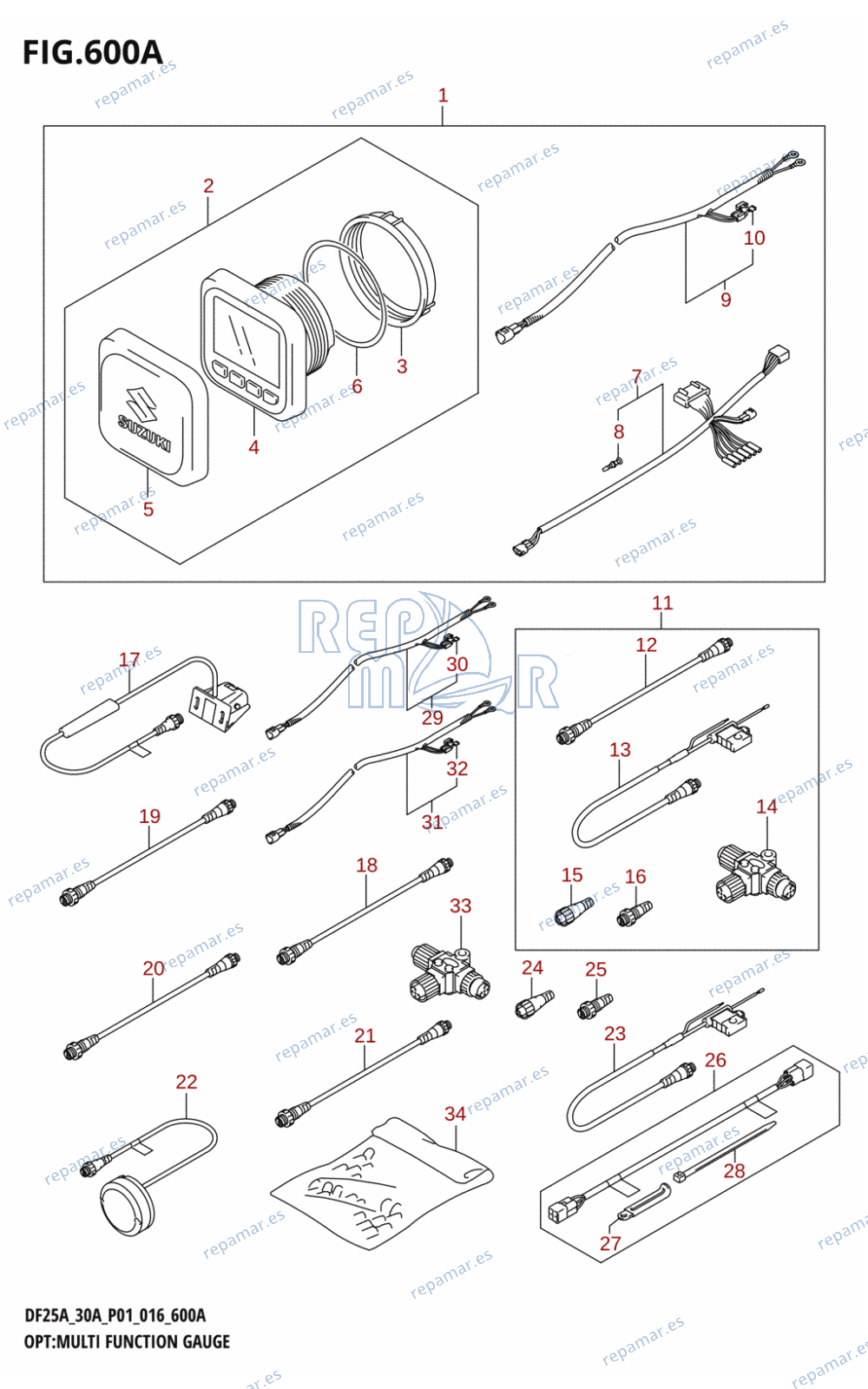 600A - OPT:MULTI FUNCTION GAUGE (DF25AR:P01)