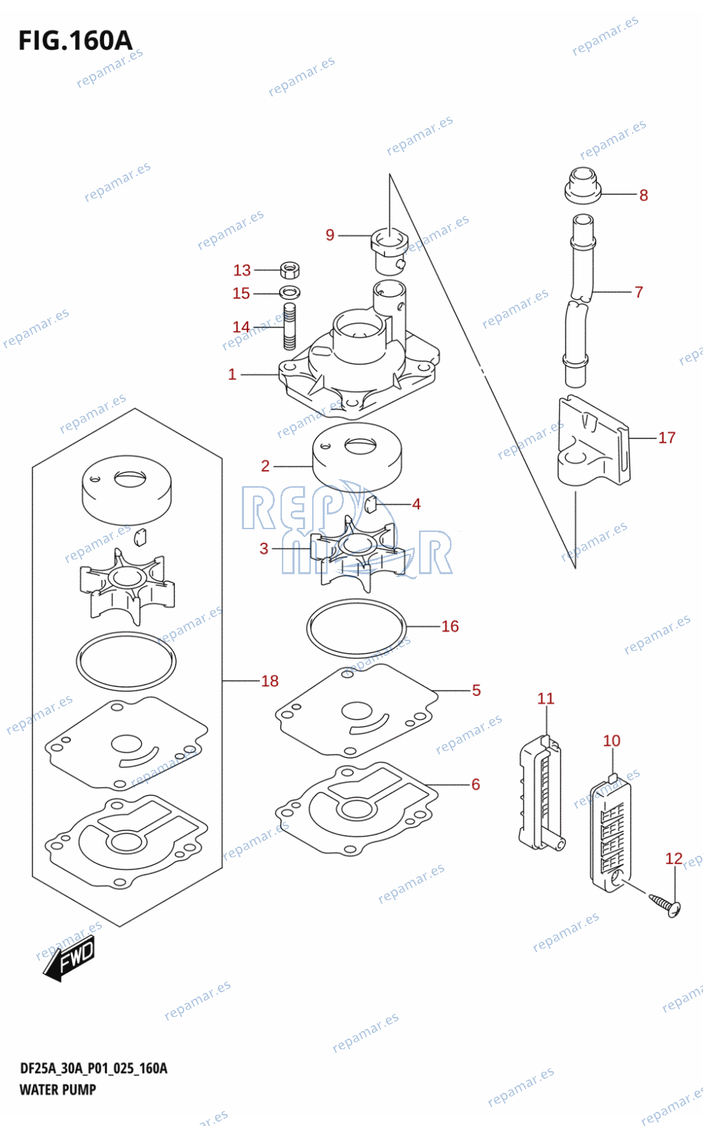 160A - WATER PUMP (DF25A,DF25AT,DF30AQ,DF30AR,DF30AT,DF30ATH)