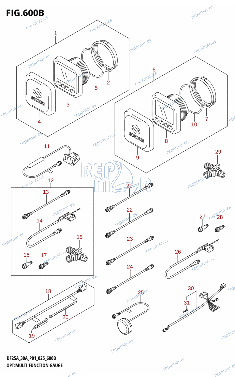 600B - OPT:MULTI FUNCTION GAUGE (DF30A)