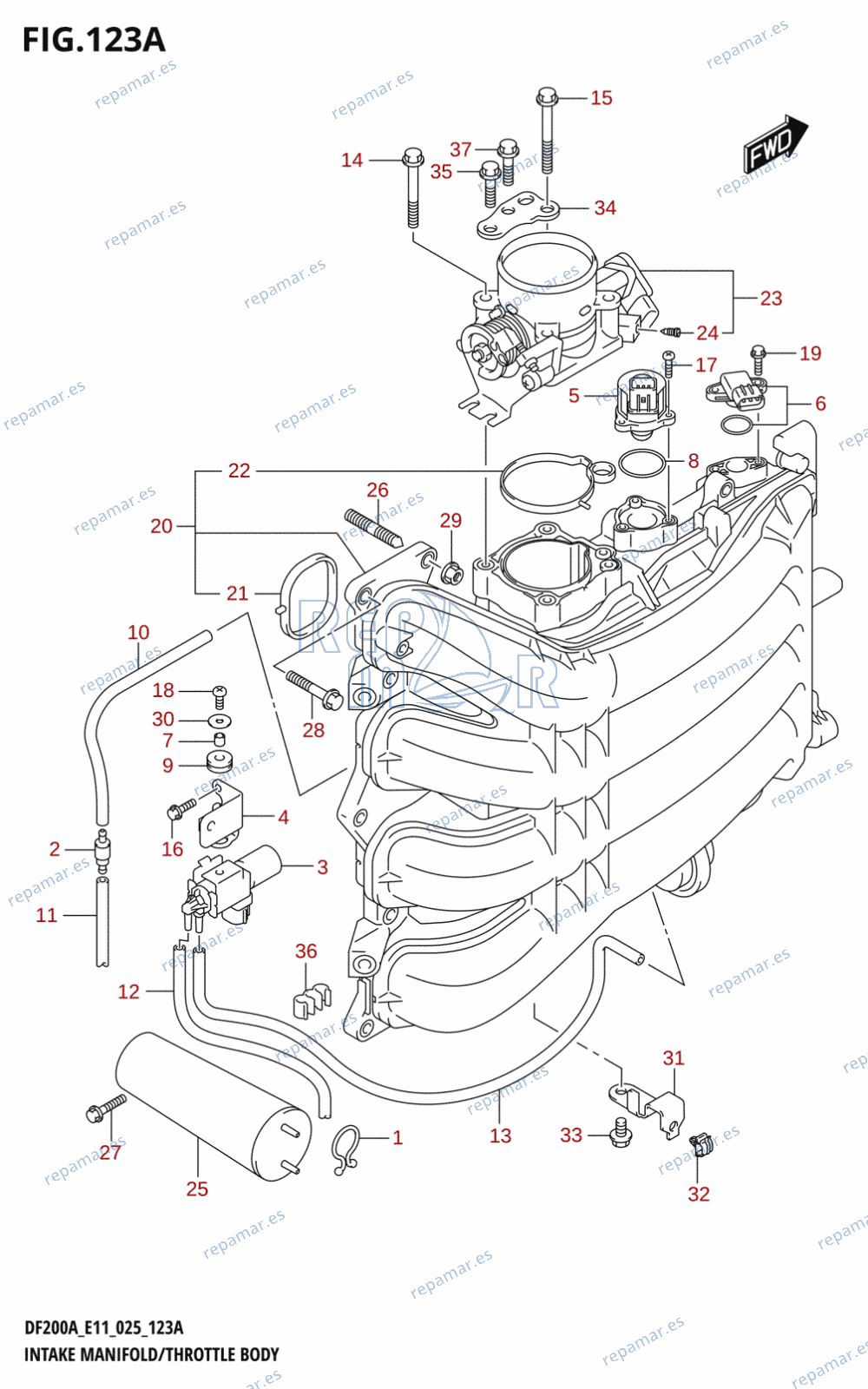 123A - INTAKE MANIFOLD /​ THROTTLE BODY